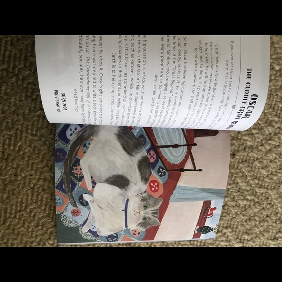 NWT cat earrings AND 30 true tales of courageous cats book! - Picture 11 of 14